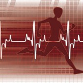 Сердечные проблемы и физическая активность: безопасные упражнения и тренировки для здоровья сердца